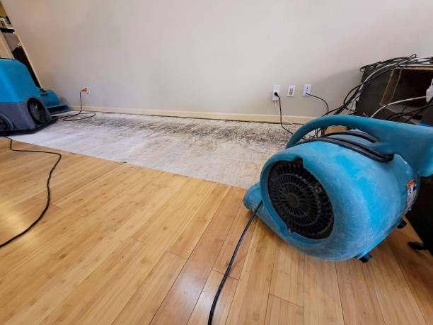 Professional Emergency Water Damage technician working in Richmond, IL